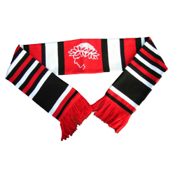 Fan Scarf's