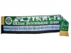 ferencvaros.jpg ferencvaros.jpg